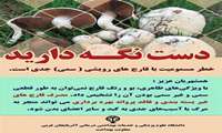 اطلاعیه‌ی ستاد مرکز بهداشت شهرستان بوکان در خصوص پیشگیری از مسمومیت با قارچ های سمی