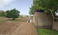 بازدید فوری تیم سلامت محیط از مزارع کشت سبزیجات بوکان در پی بارش‌های اخیر  تأکید بر آمادگی کامل در برابر خطر شیوع بیماری‌های منتقله از آب و غذا