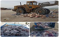شناسایی و معدوم‌سازی بیش از ۱٫۵ تن نوشمک و لواشک غیربهداشتی در شهرستان بوکان  