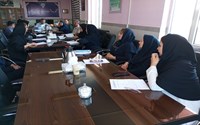 برگزاری نخستین کمیته بررسی مرگ‌ومیر نوزادان و کودکان در شهرستان بوکان در سال ۱۴۰۵